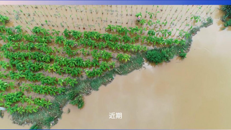 大禹节水：严阵以待，共筑防汛抗旱屏障