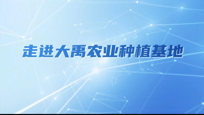 大禹农业| 多元化种植基地矩阵，探索农业现代化新路径