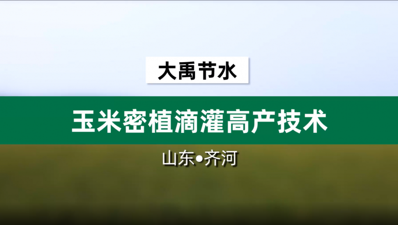大禹节水玉米密植滴灌高产技术· 山东省齐河县豆腐窝灌区