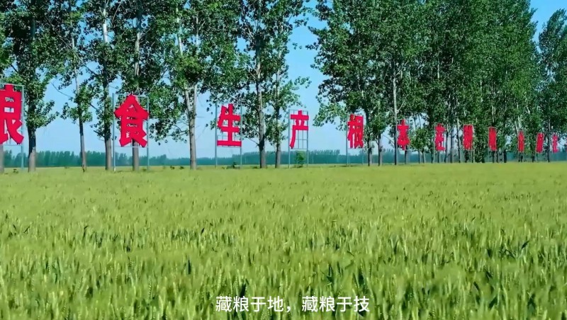 大禹节水：破解高标准农田建设难题，扛牢粮食安全重担，以科技与责任交出了一份创新答卷。