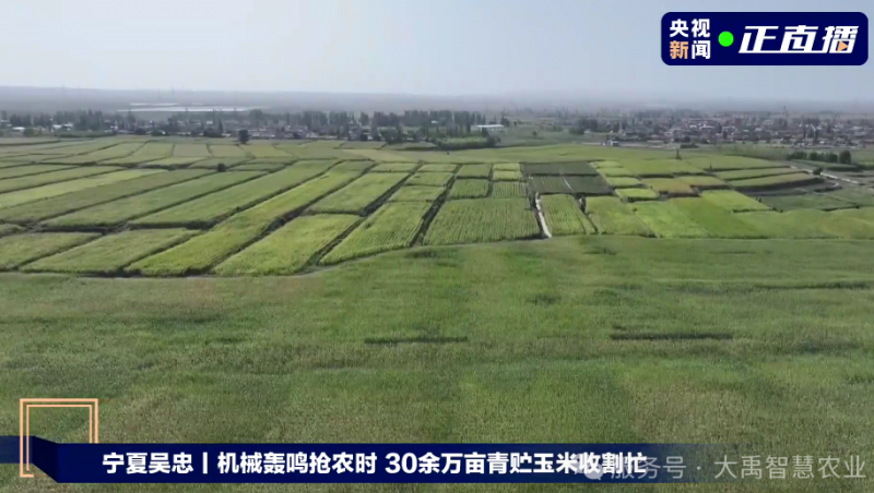 媒体聚焦 | 大禹节水以智慧农业技术，为 30 万亩青贮玉米丰收 “添动力”